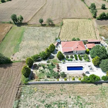 Grapes * フェティエ