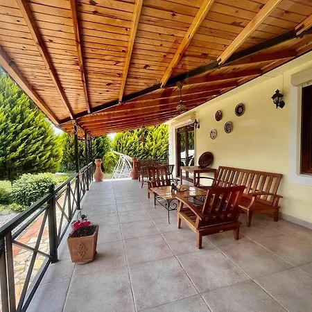 Grapes フェティエ