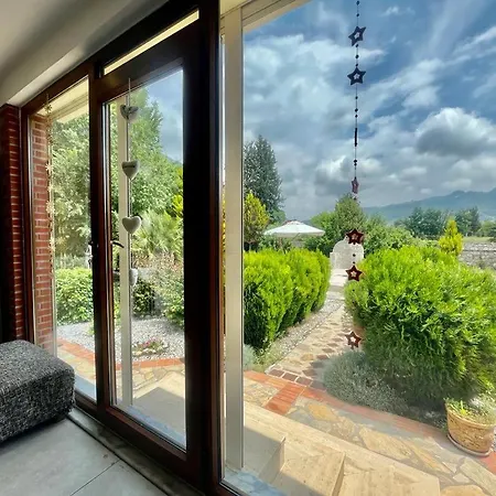 Grapes * フェティエ