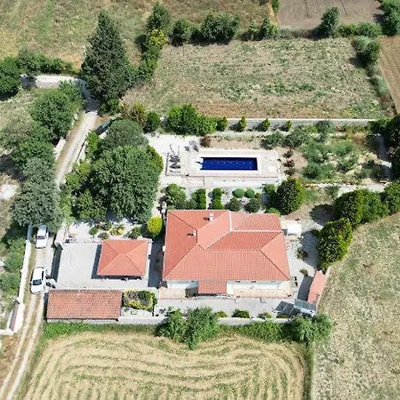 Villa Grapes
